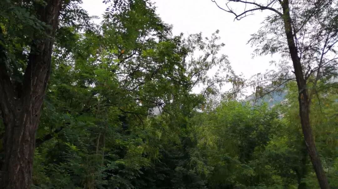 家庭教育就重在这三点