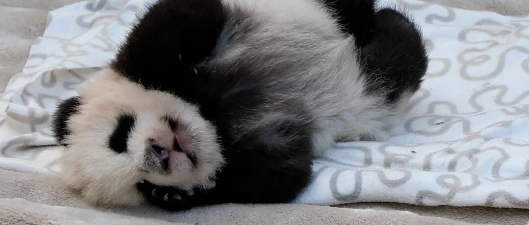 宁可赖床也不起床，这是对冬天最大的尊重！