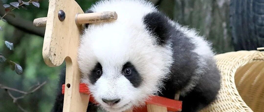 你看我几分像从前——“成浪”篇