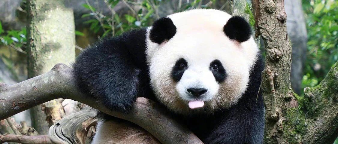 “肉肉号列车”发车啦！狂吃狂吃狂吃狂吃