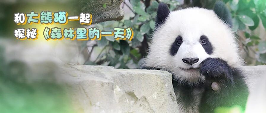 福利活动|暑假里熊孩子竟然在认真读书？是的！