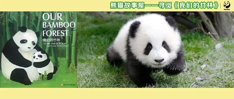 与萌滚滚一起寻觅《我们的竹林》，亲子阅读活动暖心开启