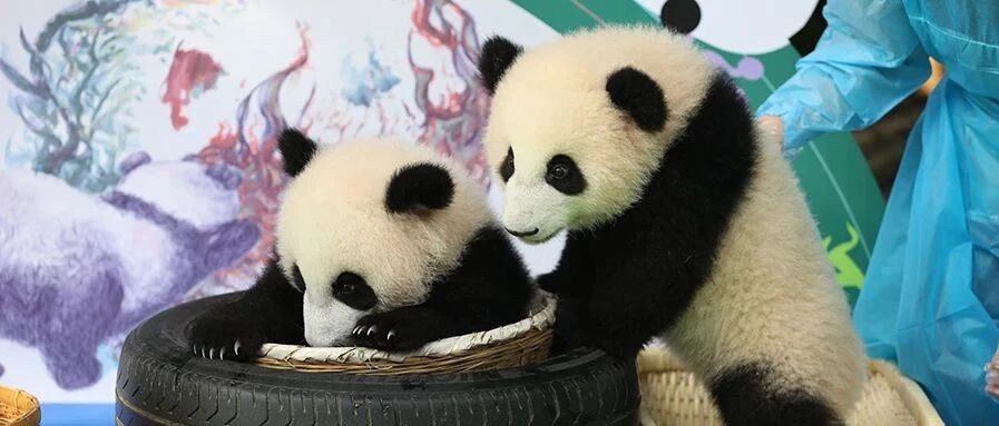 世界上最遥远的距离大概就是这样了