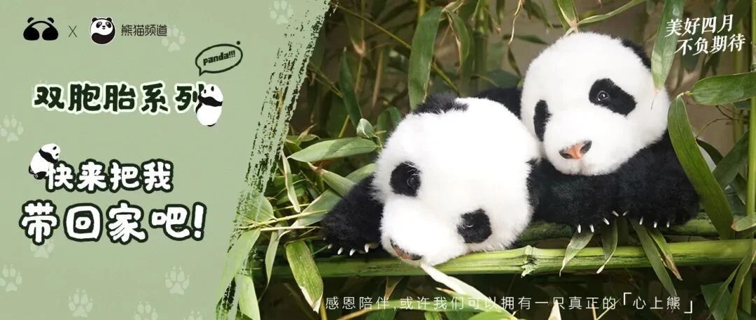 @所有人，人手一只熊猫的愿望可以实现了！召集新品见证官ing......