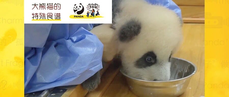 揭秘国宝食谱！这些“美食”你都了解吗？