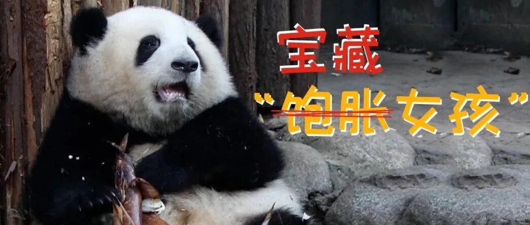 我才不是“饱胀女孩”，是“宝藏女孩”！