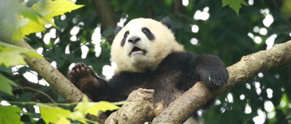 一想到明天上班，我就瘫在床上不能起来！