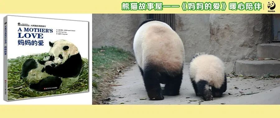 陪伴成长每一步，《妈妈的爱》亲子阅读活动招募开启