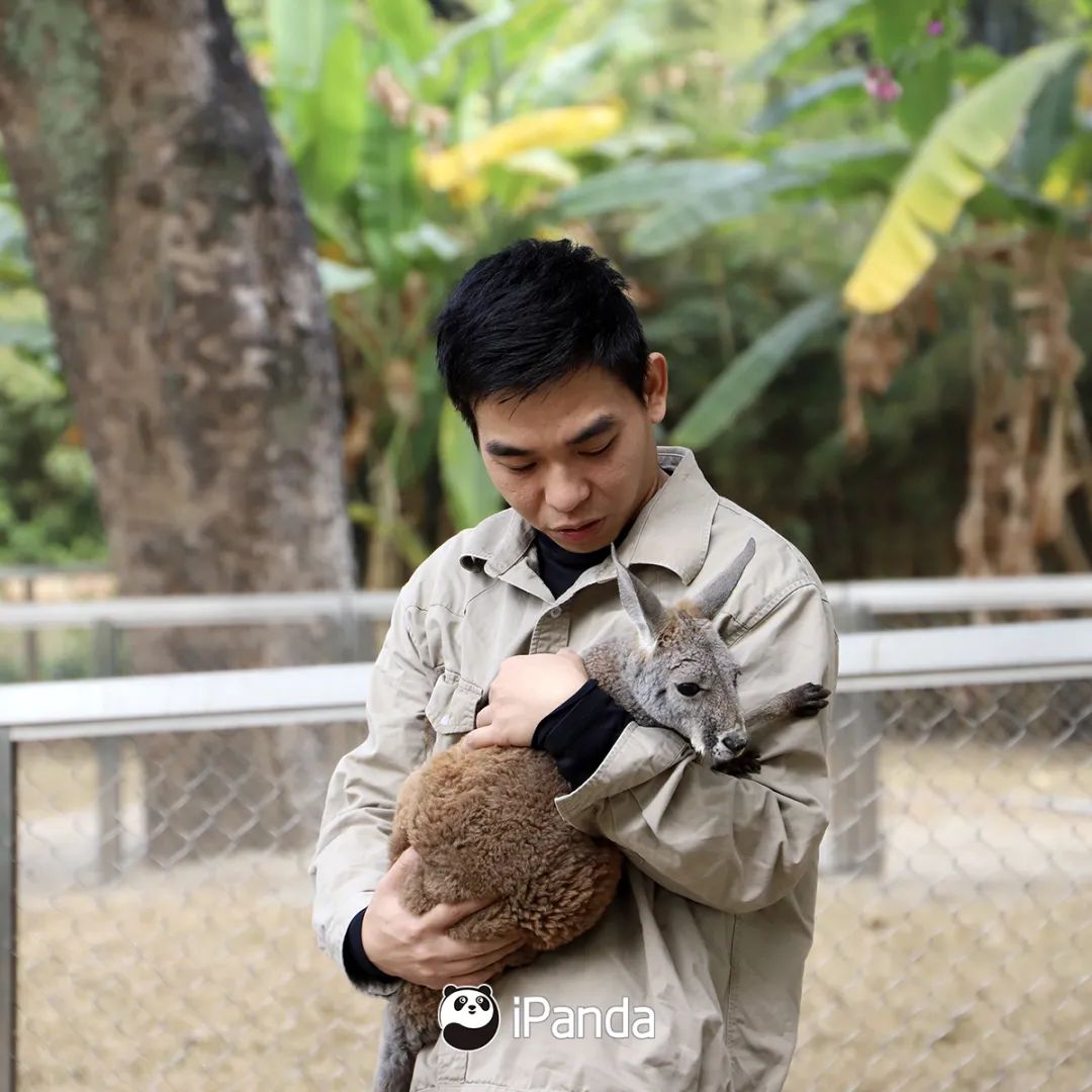 直播預告|不如去逛動物園：新生命的奇跡 寵物 第8張