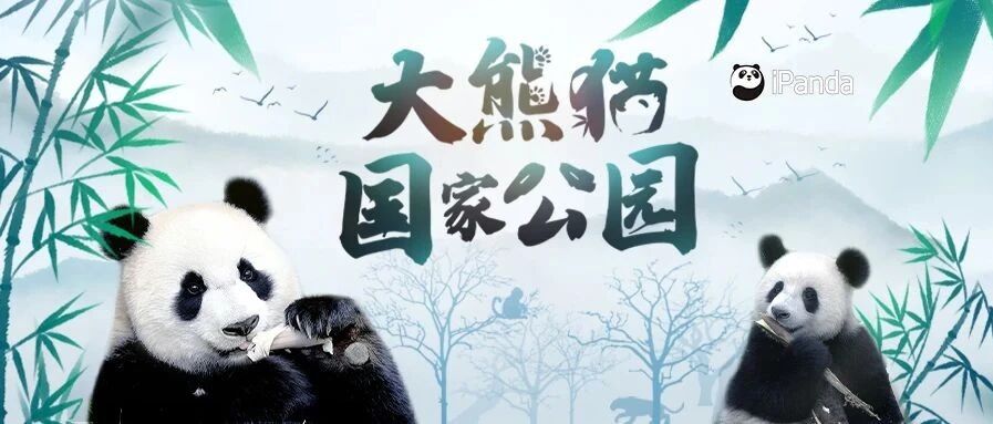 陪你一起经历斗转星移，四季交替｜大熊猫国家公园