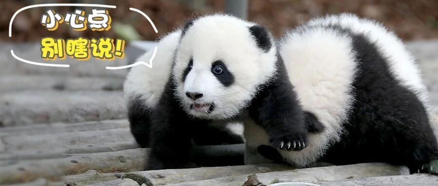 有“医”说“医”，现实中的他们是这样的！