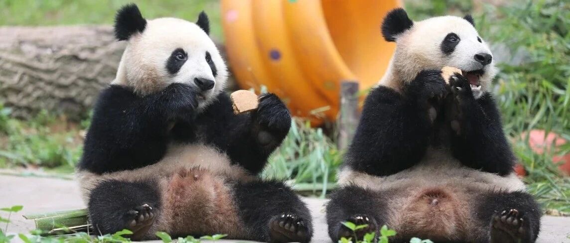 我把你当好朋友，你却只想抢我的小零食？