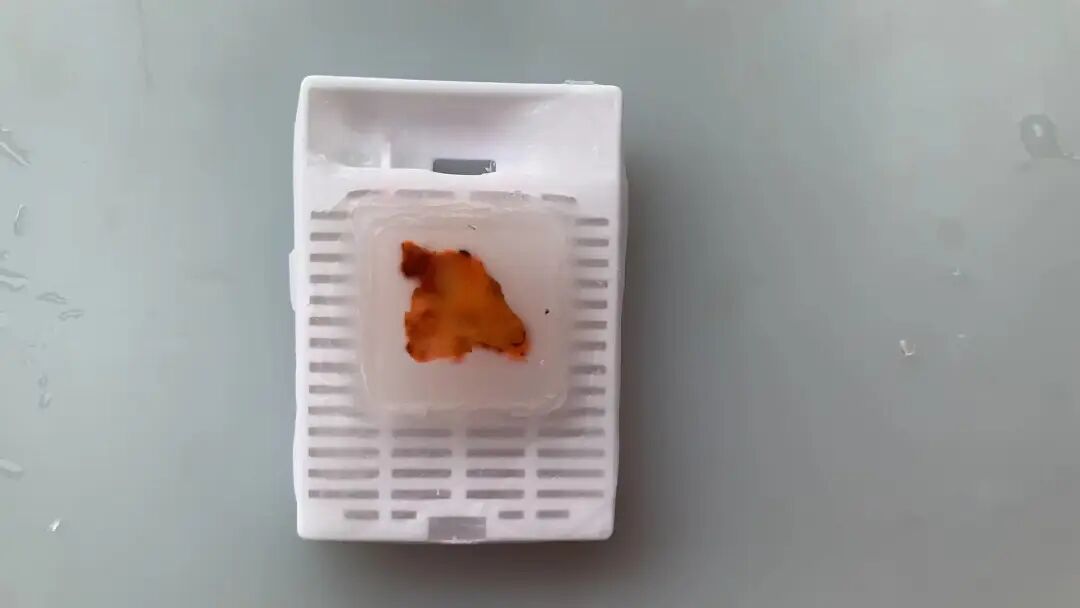 什么是病理蜡块【公卫科普】什么是病理切片、蜡块、白片？_https://www.jmylbn.com_新闻资讯_第14张