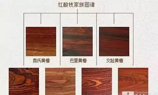 木材之殇,再无酸枝:十五种酸枝木的特征与鉴别
