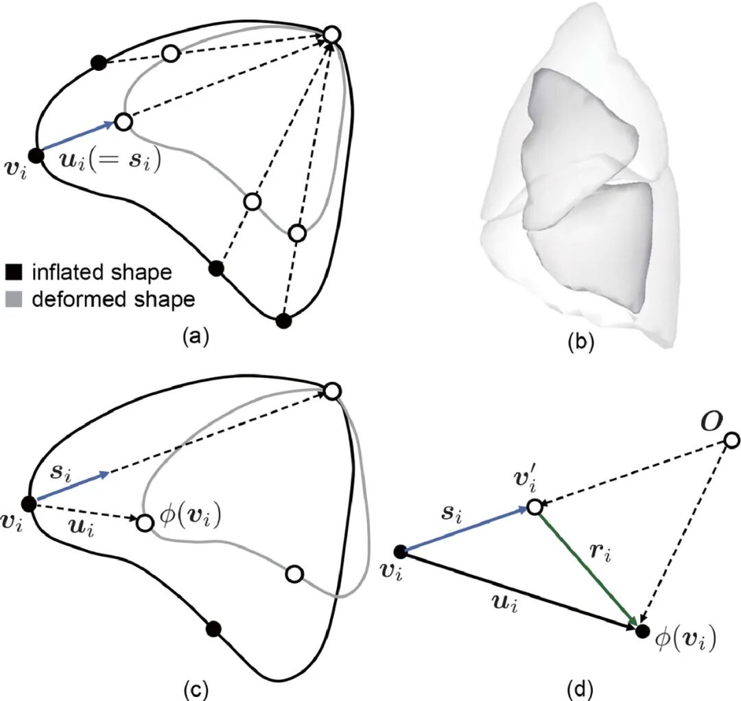 什么是数字肺膨胀肺／萎陷肺的真相：人工气胸下的支气管+肺实质数字模型与三维重建？_https://www.jmylbn.com_新闻资讯_第23张
