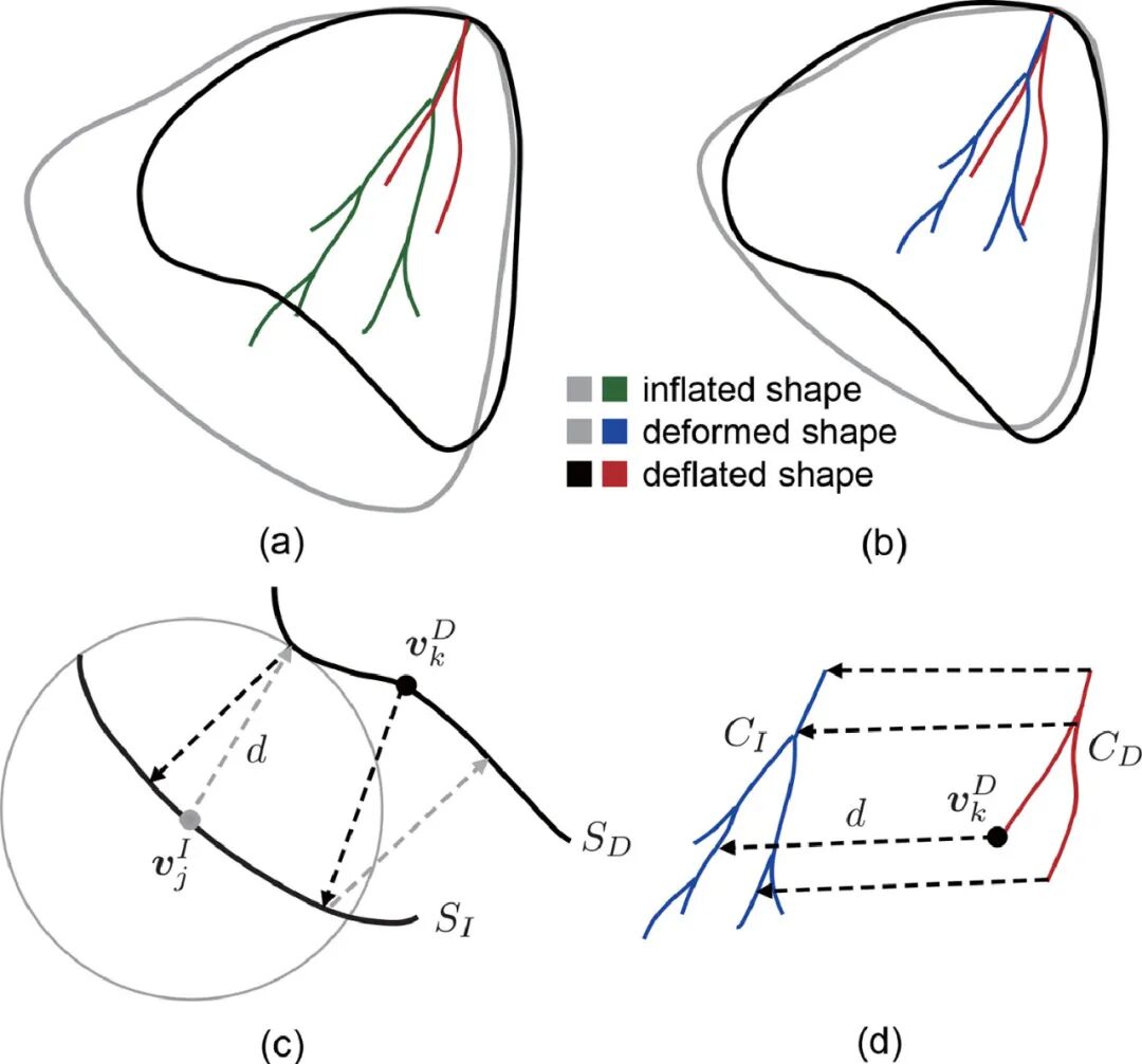 什么是数字肺膨胀肺／萎陷肺的真相：人工气胸下的支气管+肺实质数字模型与三维重建？_https://www.jmylbn.com_新闻资讯_第22张