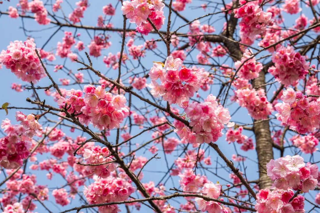 �������ˣ��������ӣ��ʢ�������� ���������