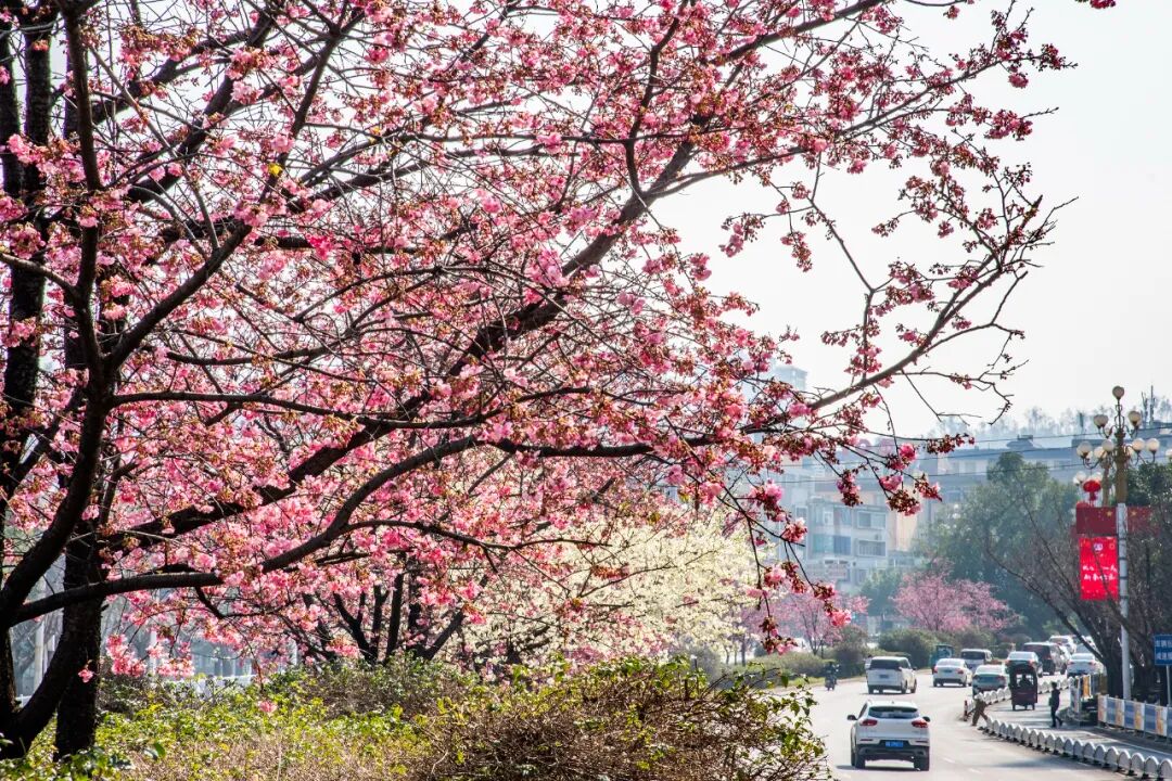 �������ˣ��������ӣ��ʢ�������� ���������