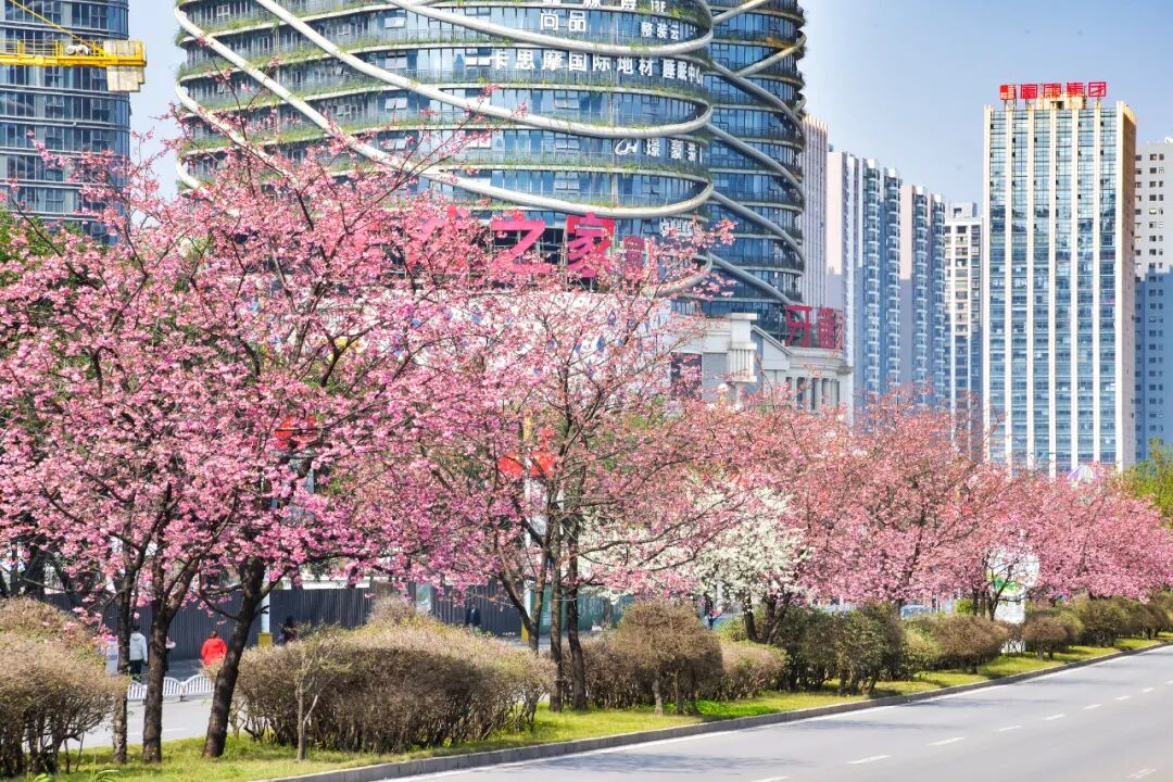 �������ˣ��������ӣ��ʢ�������� ���������