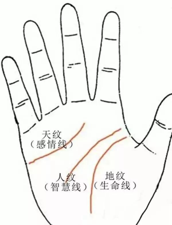 掌中六种纹，抓金抓银