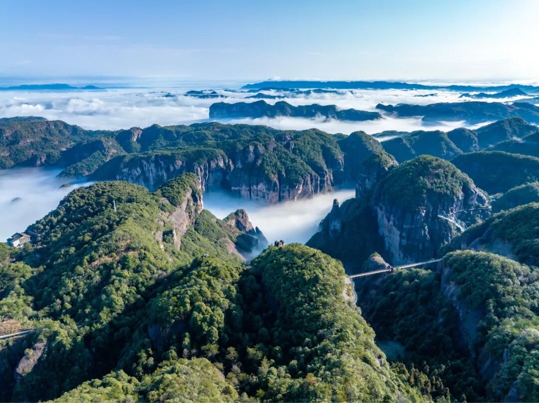 “慢”直播：一种新型的媒介内容和技术趋势