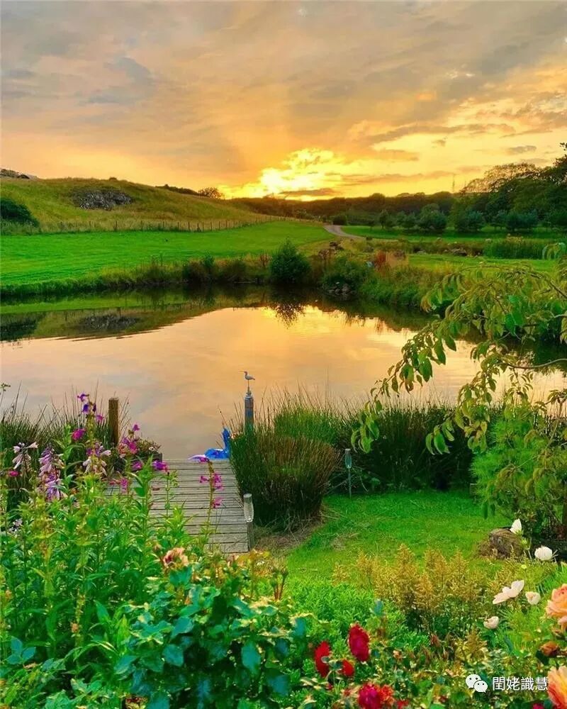 为什么心是钩脉​五脏的正常脉和病脉-倪海厦《黄帝内经》  第十九篇 玉机真脏论 （19.2）_https://www.jmylbn.com_新闻资讯_第2张