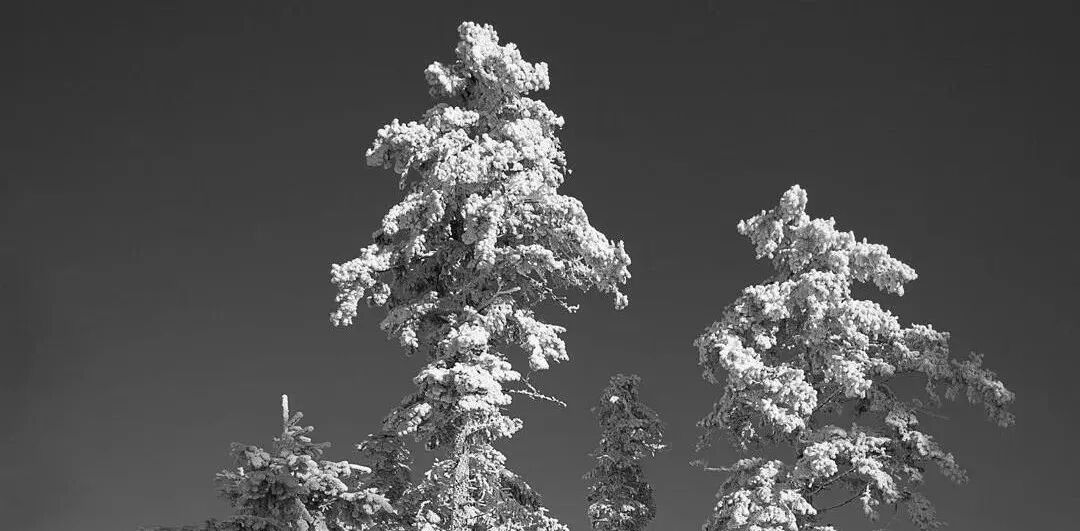 小柴胡汤为什么能治便秘？