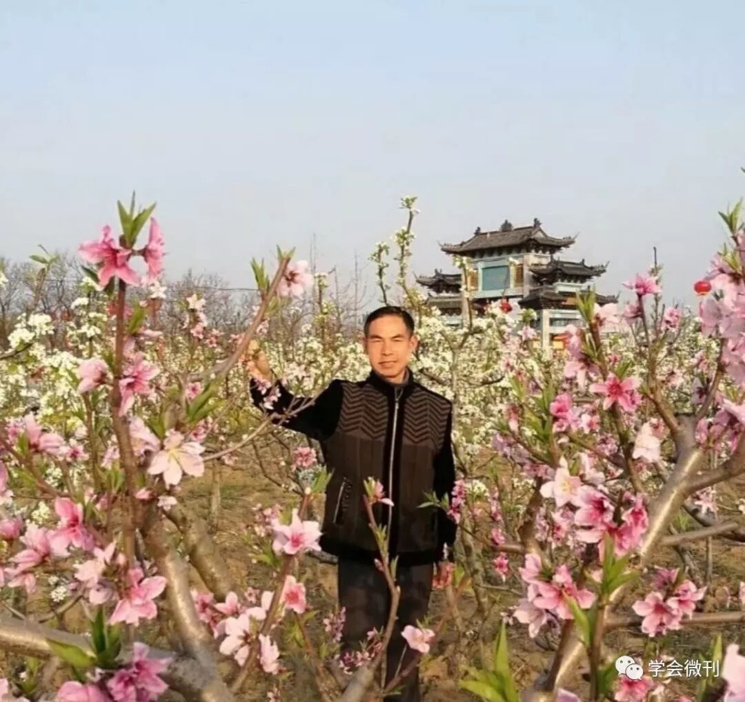 华夏诗社 第1期 花笑醉春作品 诗8首 学会微刊 微信公众号文章阅读 Wemp