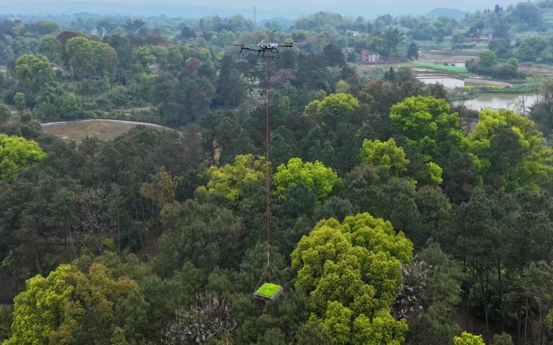 DJI_20260317095939_0638_D.JPG