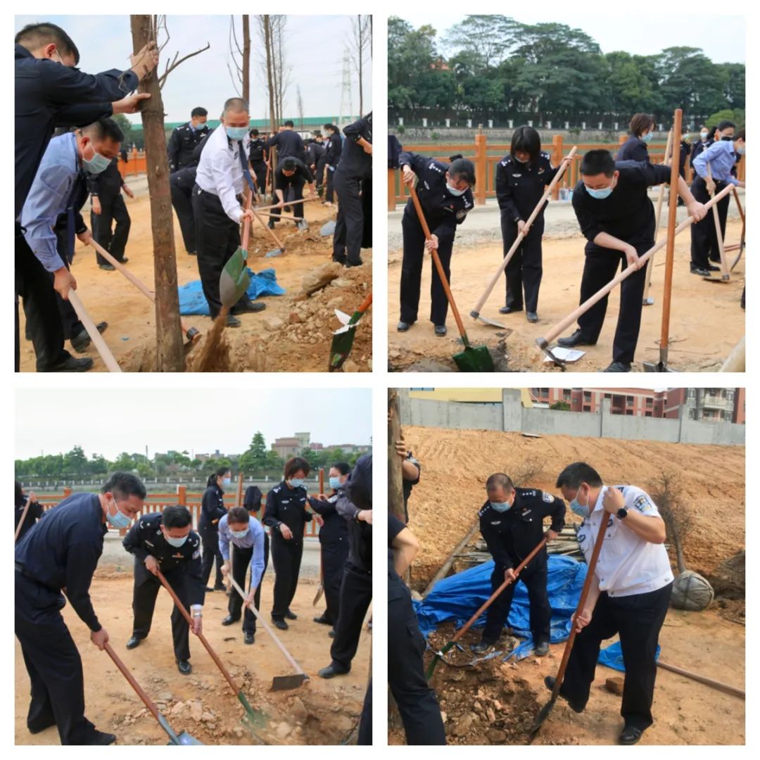 东莞监狱开展义务植树活动