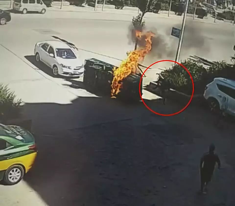 救命4连踹！生死瞬间他的这个举动拯救了一个家庭