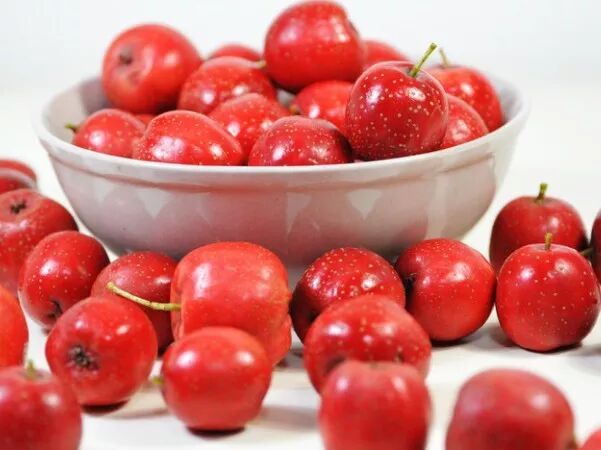 咳嗽、咳痰不用怕，教你三招辨別咳嗽，5步自檢肺部健康！ 健康 第11張