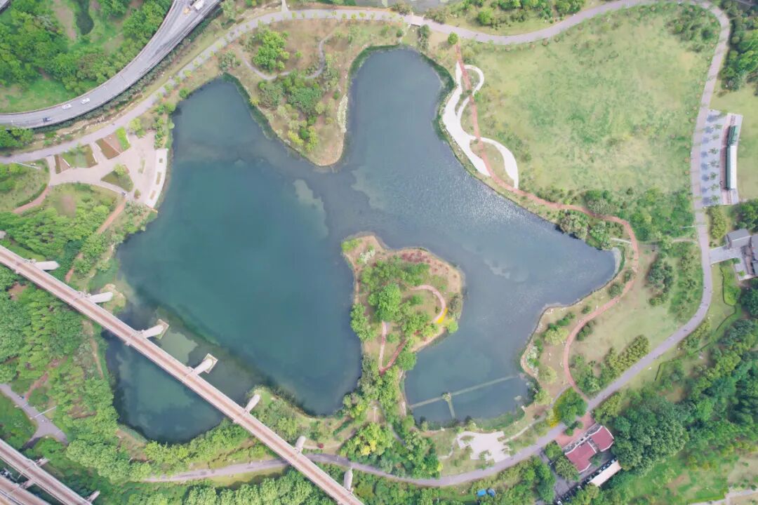 武汉勘察设计协会“会员开放日——走近武汉市规划设计有限公司智悦水生态”活动成功举办