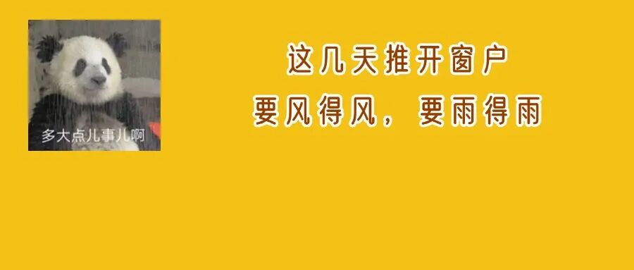 桦加沙二次登陆广西