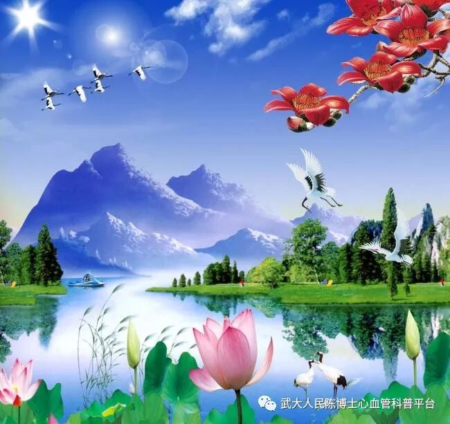 他汀类药物的副作用介绍之二：肌肉受损