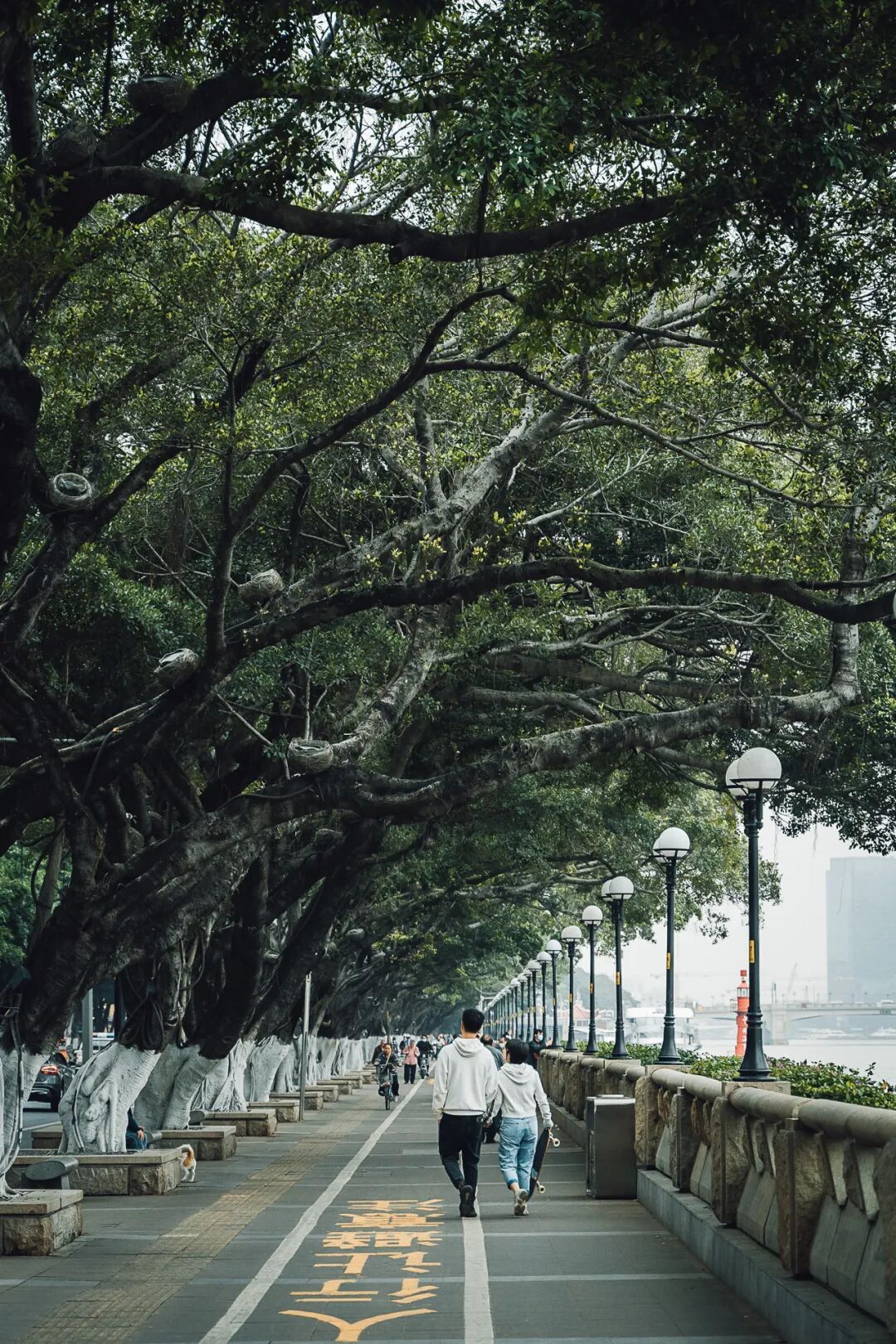 粤语情话大全浪漫情话_粤语情话短句_粤语情话