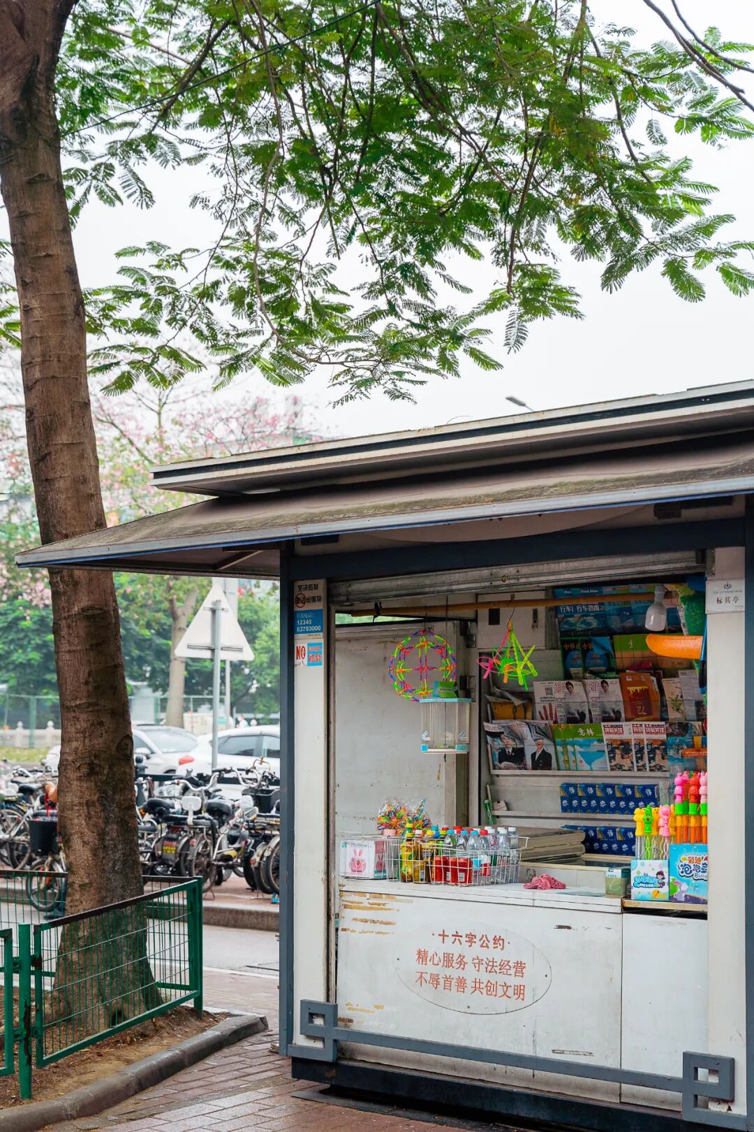 ���ݵı���ͤ��ô�࣬������ֽ�ļ���û����