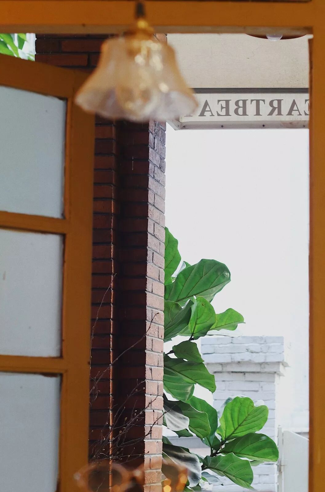 咖啡短笛是什么意思_短笛咖啡_咖啡短笛和dirty