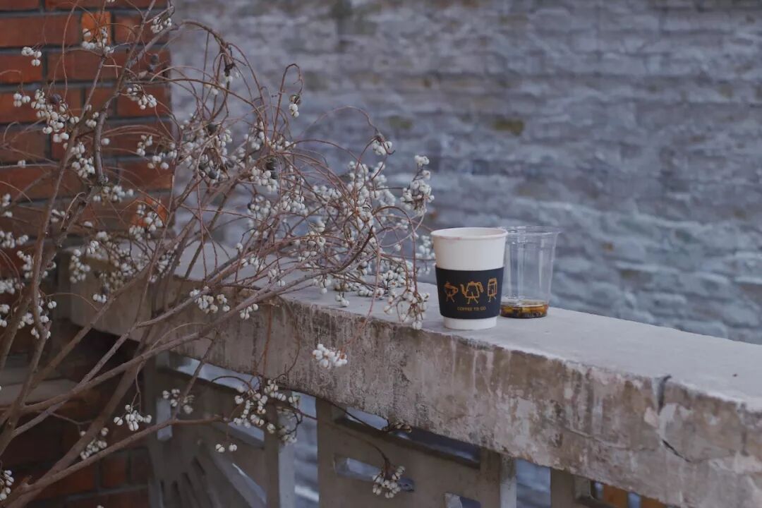 咖啡短笛是什么意思_咖啡短笛和dirty_短笛咖啡