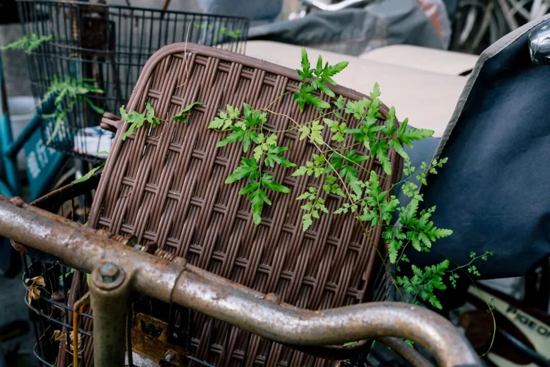 ��Щ���ƹ�ʱ�ġ�XXһ���֡������ǹ������ȥ��ľ���