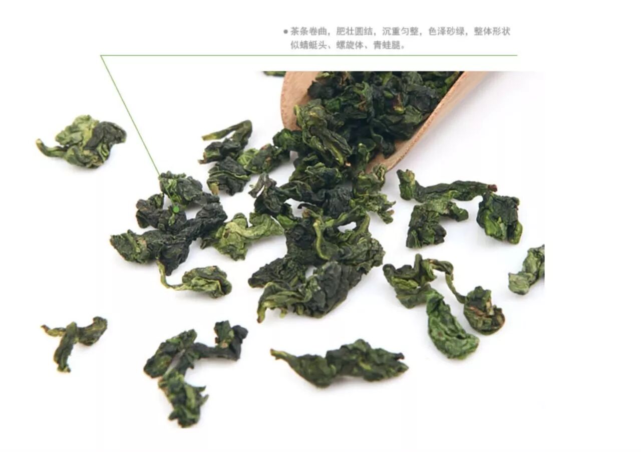 铁观音外形:蜻蜓头,螺旋体,青蛙腿