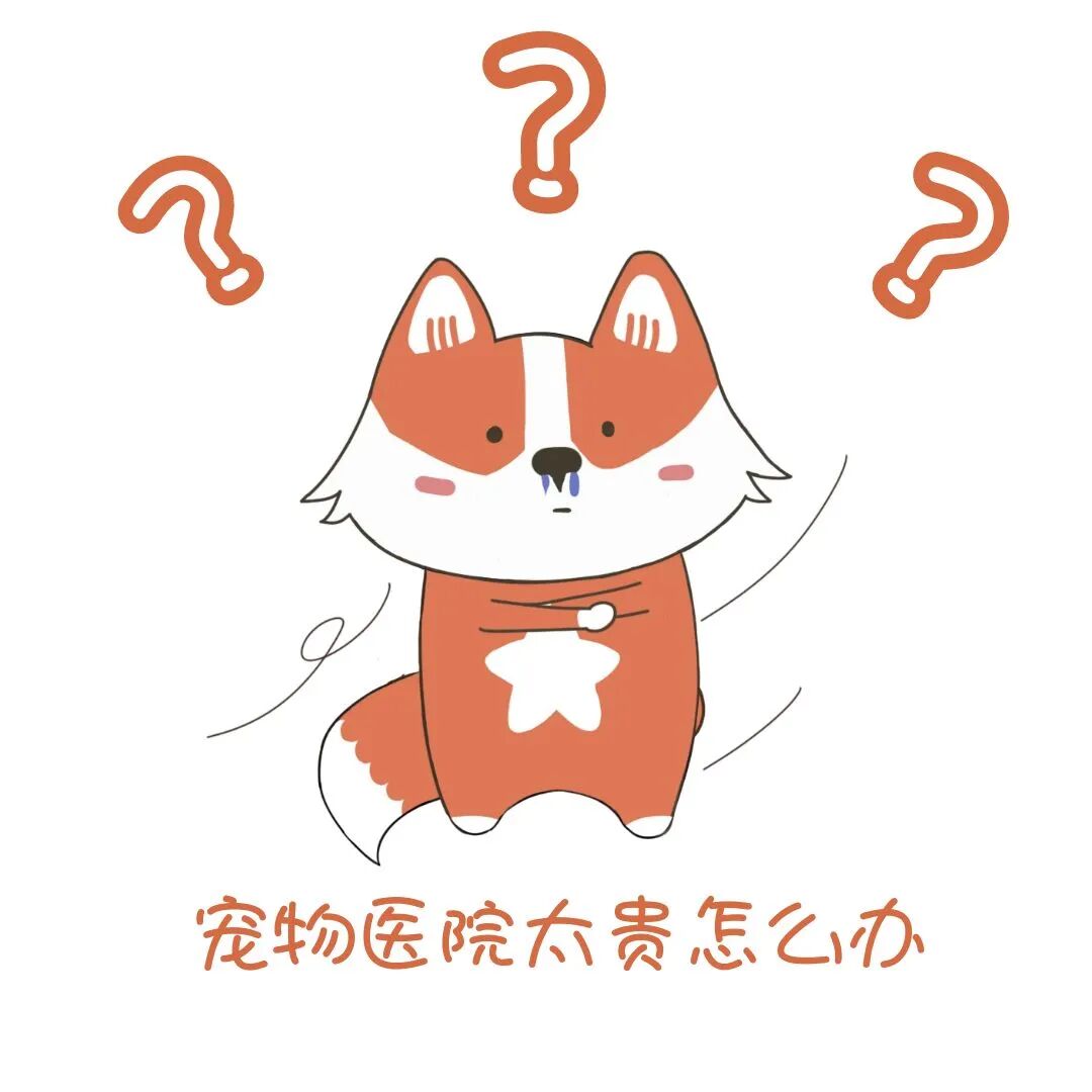 动物怎么麻醉我是麻醉医生，却麻不了自己的狗狗_https://www.jmylbn.com_新闻资讯_第6张