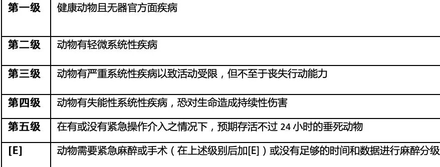 动物怎么麻醉我是麻醉医生，却麻不了自己的狗狗_https://www.jmylbn.com_新闻资讯_第21张
