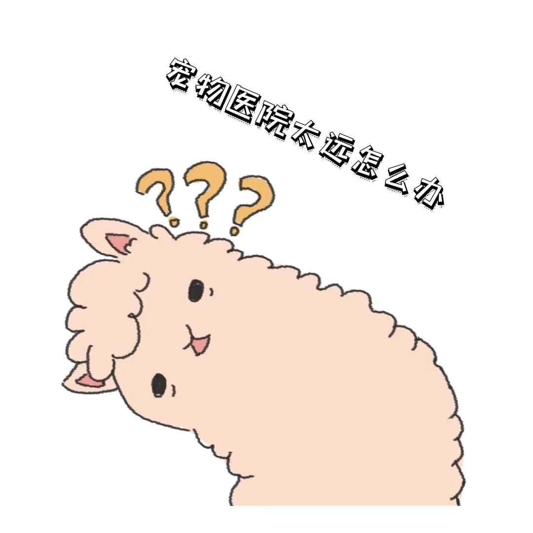 动物怎么麻醉我是麻醉医生，却麻不了自己的狗狗_https://www.jmylbn.com_新闻资讯_第5张