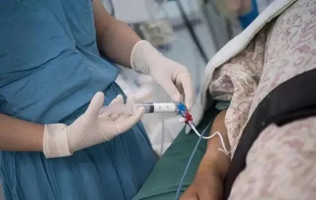 动物怎么麻醉我是麻醉医生，却麻不了自己的狗狗_https://www.jmylbn.com_新闻资讯_第24张