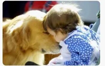 动物怎么麻醉我是麻醉医生，却麻不了自己的狗狗_https://www.jmylbn.com_新闻资讯_第34张