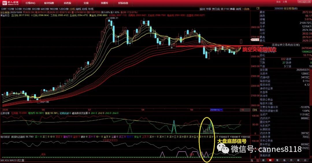 周预测：美国多地水貂养殖场暴发新冠疫情，央行出手外汇市场，A股黄金坑已成