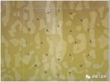 奧氏體不銹鋼中鐵素體的作用、檢測及預測的圖4