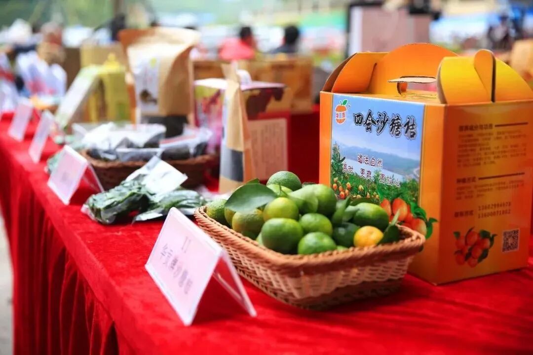 四会沙糖桔逸丰葡萄奇石河特产十大名菜茶油鸡碌鹅炽鸭白沙笋紫苏蒸青