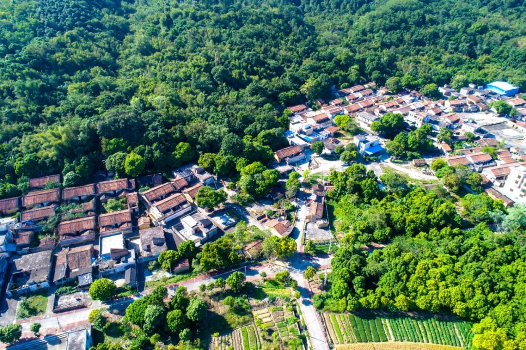 富硒小镇诗画迳口乡村文化振兴志愿集市活动来啦快来参与吧